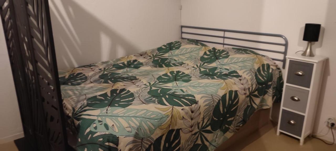 Apartamento Pour Cure Et Ski Bagnères-de-Luchon Exterior foto